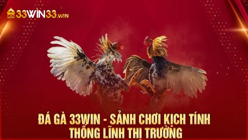 Tổng quan về sảnh đá gà 33win